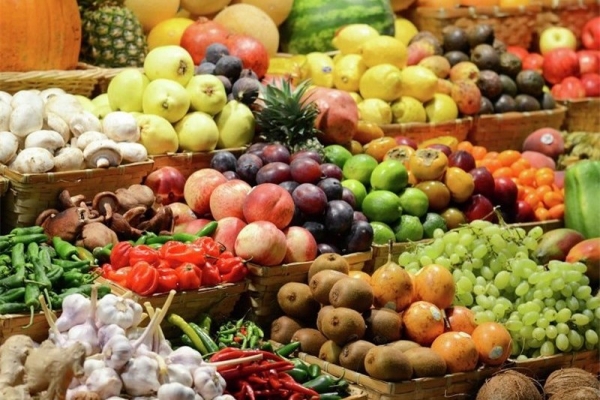 صادرات محصولات کشاورزی و غذایی